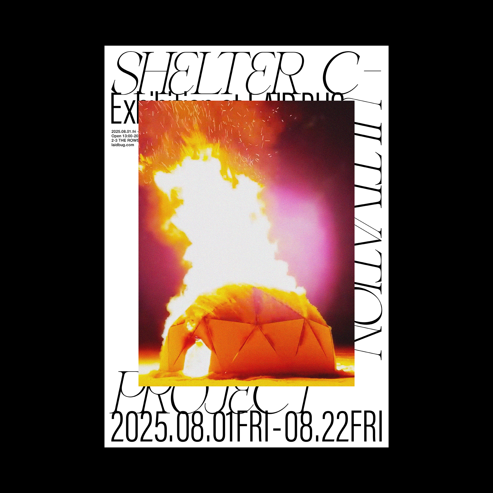 Shelter Cultivation Project」 （LAID BUG） ｜Tokyo Art Beat