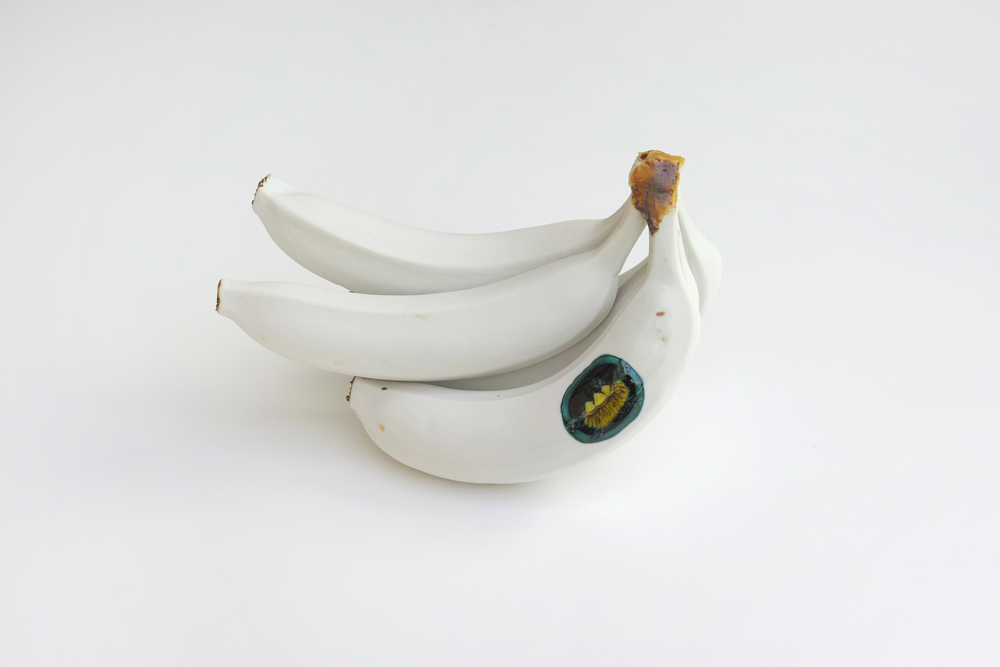 臺湾懐蕉 Kamide-Shinsho-add1.jpeg