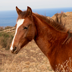 海野勝正 「くうのくう」 （ギャラリー檜 B・C） ｜Tokyo Art Beat