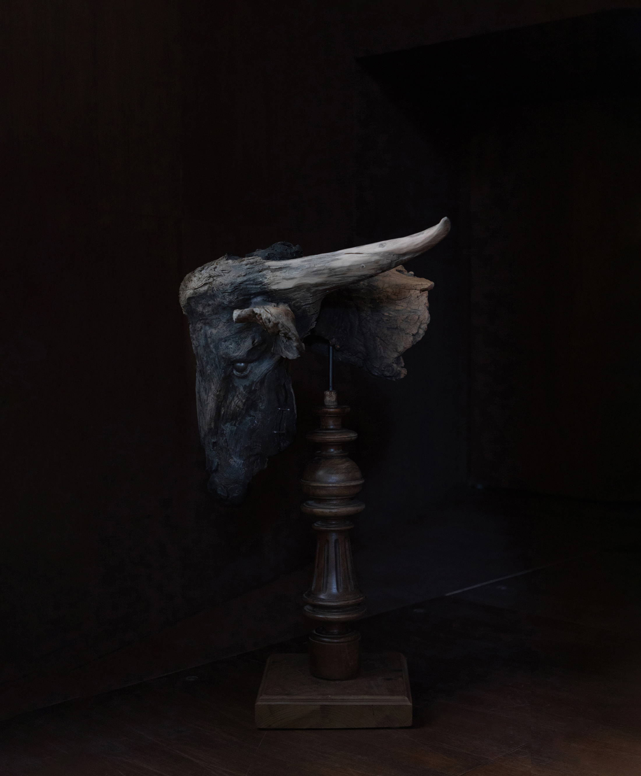 水田典寿 「anasilan」 （hide gallery） ｜Tokyo Art Beat