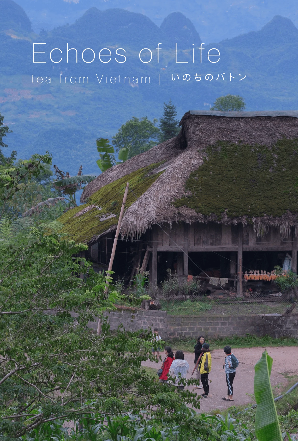 Nguyen Son Tung "Echoes of Life | Tea from Vietnam"