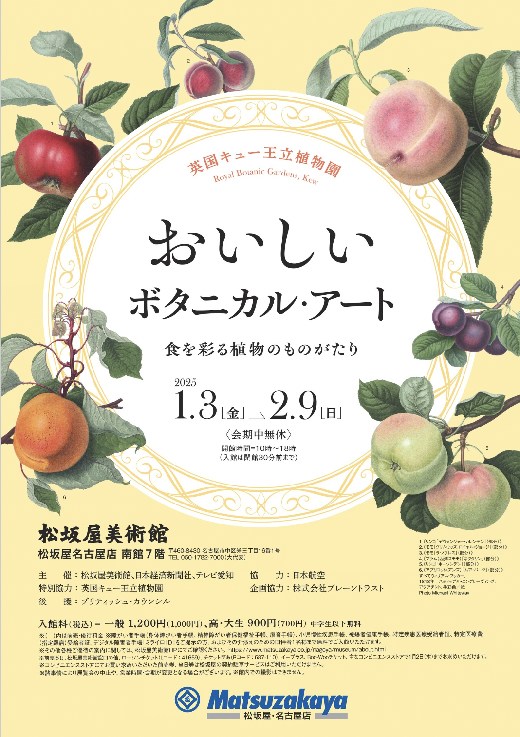 おいしいボタニカル・アート 食を彩る植物のものがたり」 （松坂屋