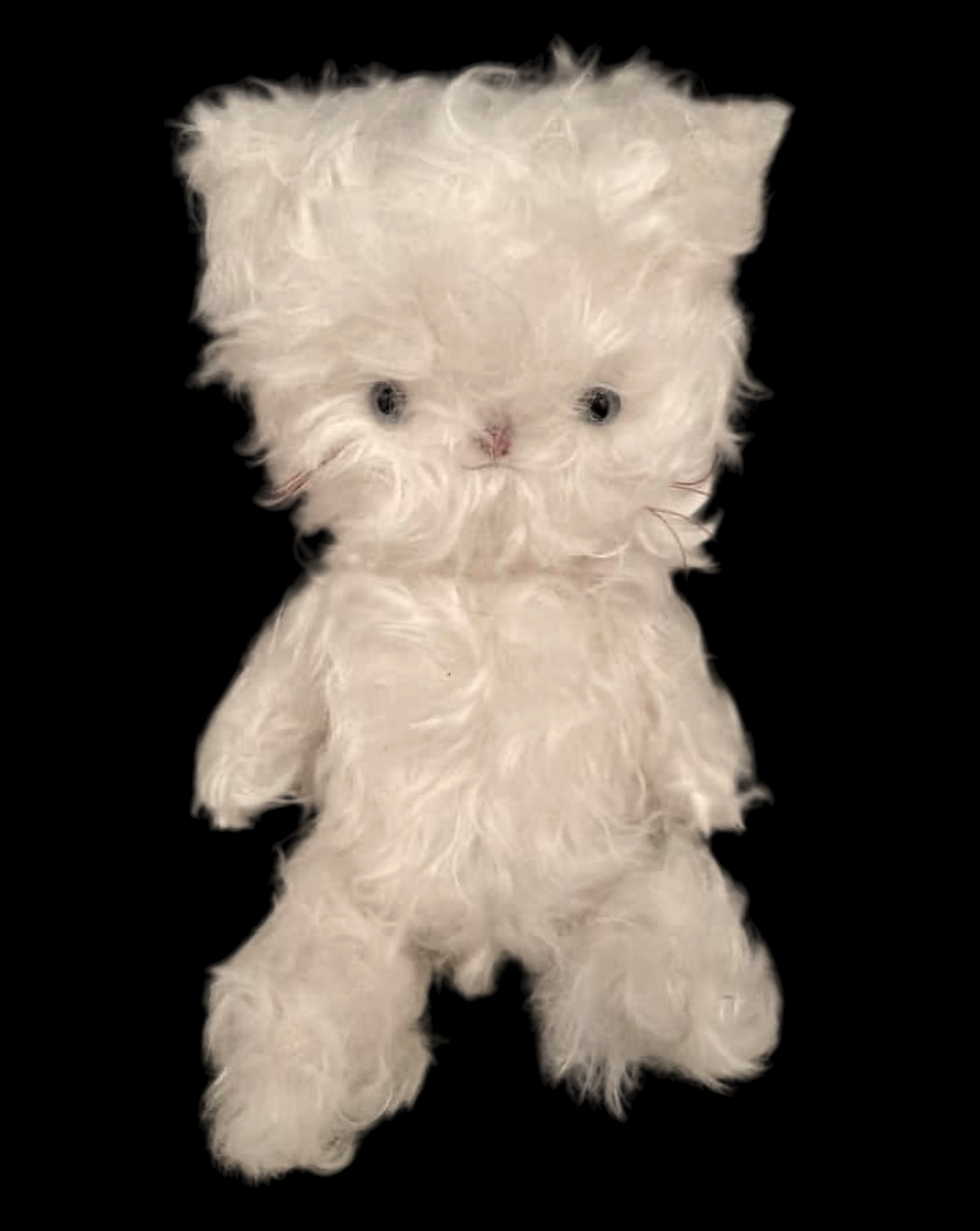 heidi.（ハイジ.） 「Night night」 （WISH LESS） ｜Tokyo Art Beat