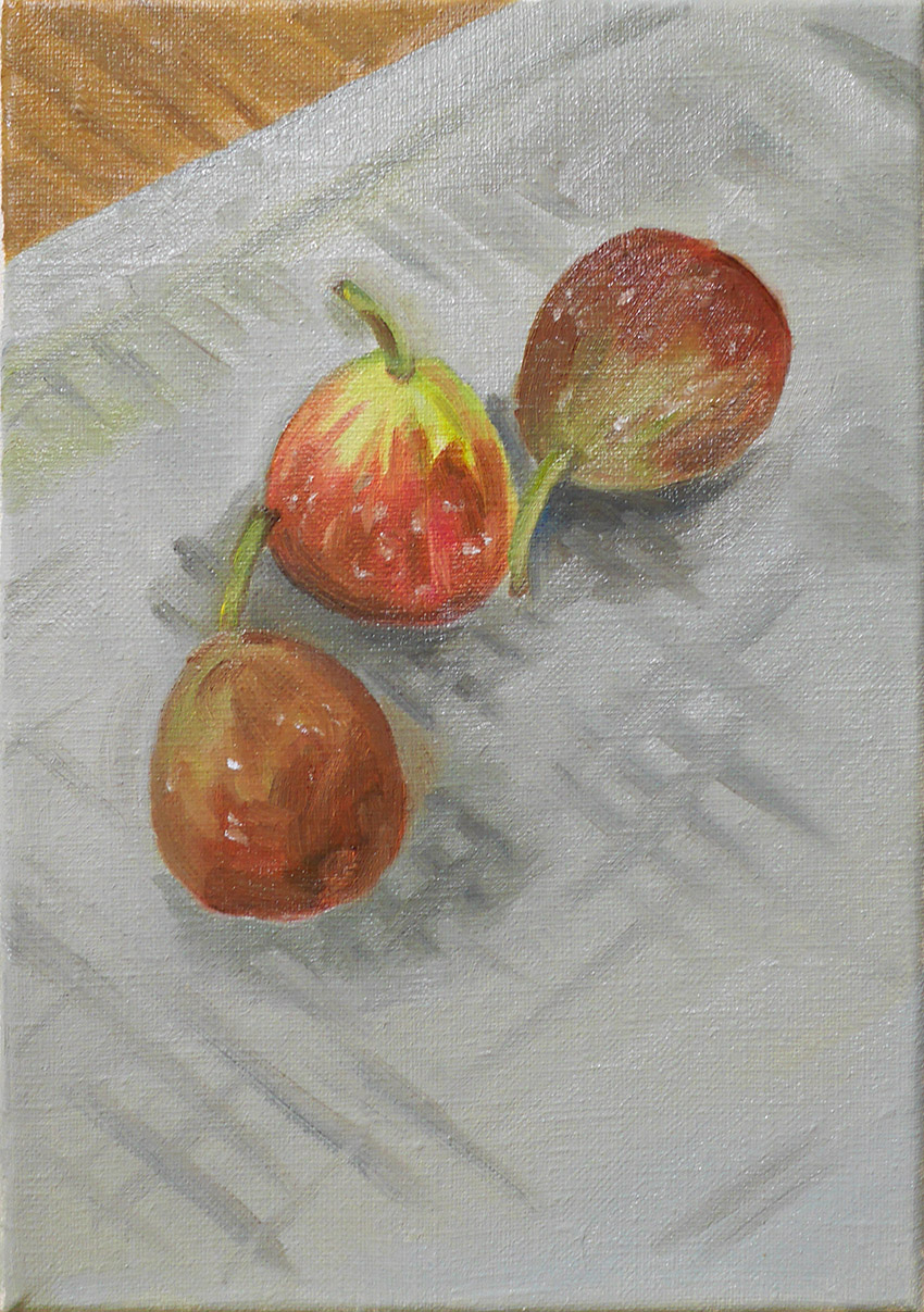 後藤瑞穂 「アボカドを拾う、本を持つ」 （下北沢アーツ） ｜Tokyo Art