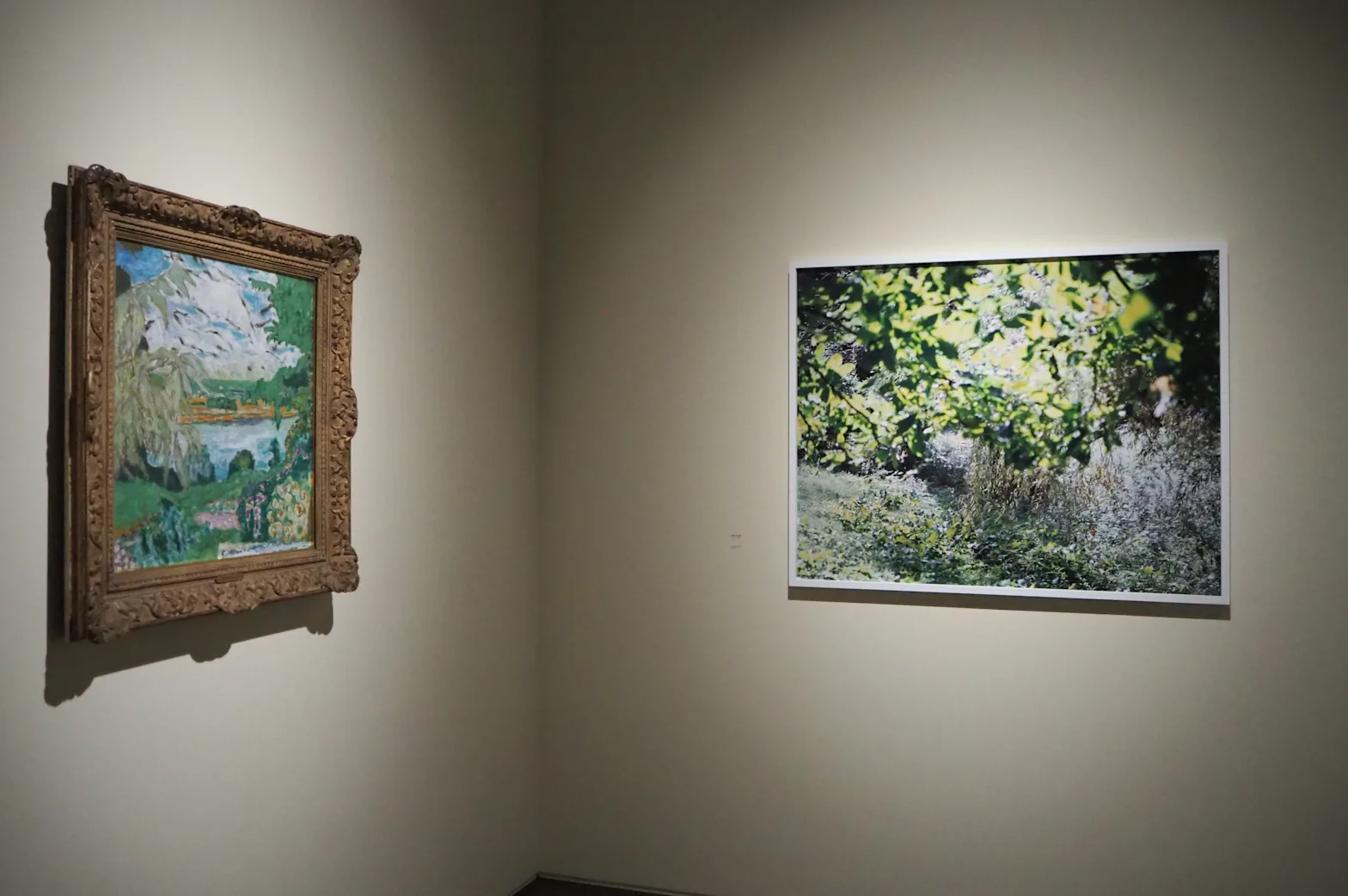 柴田敏雄×鈴木理策　写真と絵画 セザンヌより アーティゾン美術館・写真と絵画－セザンヌより 柴田敏雄と鈴木理策（3