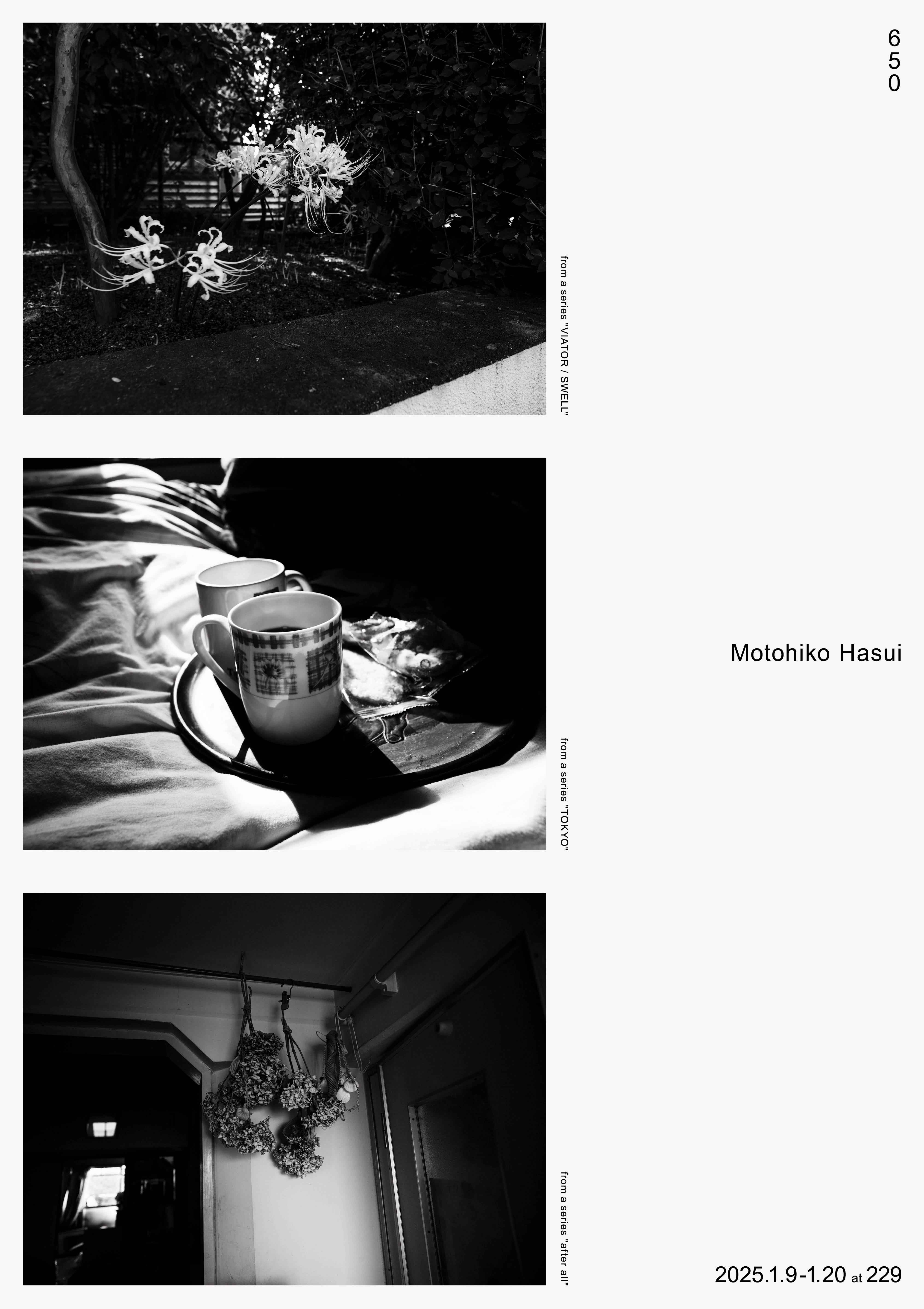 蓮井元彦 「650」 （229 GALLERY） ｜Tokyo Art Beat