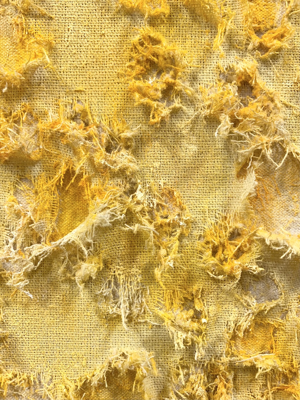 藤本純輝 「高原に咲く」 （biscuit gallery karuizawa） ｜Tokyo Art Beat