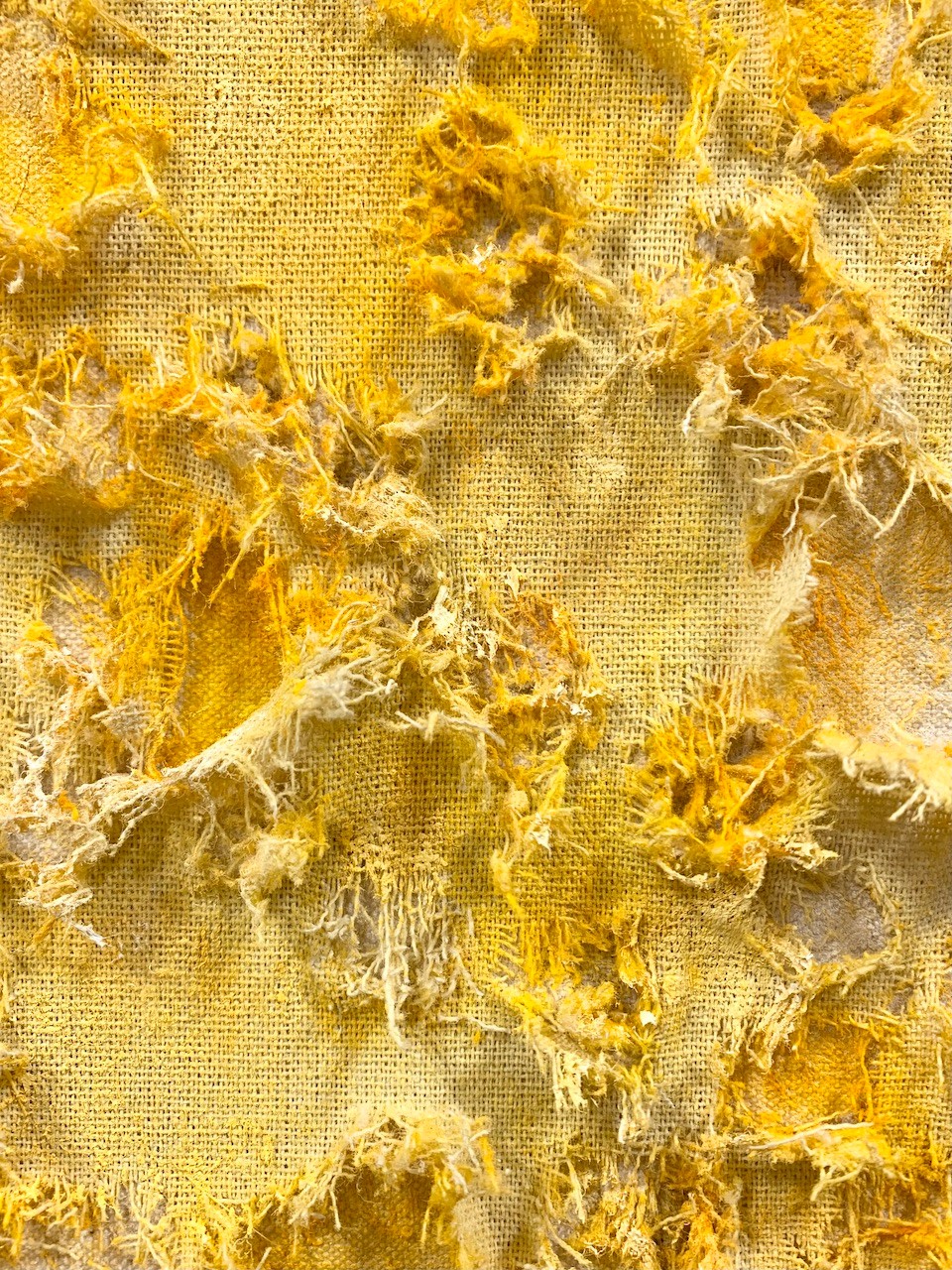 藤本純輝 「高原に咲く」 （biscuit gallery karuizawa） ｜Tokyo Art Beat