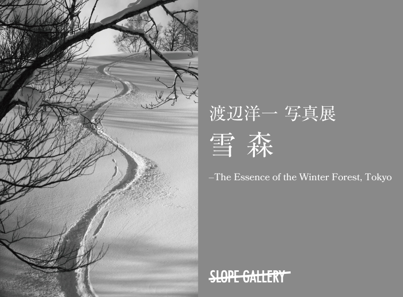 Yoichi Watanabe 