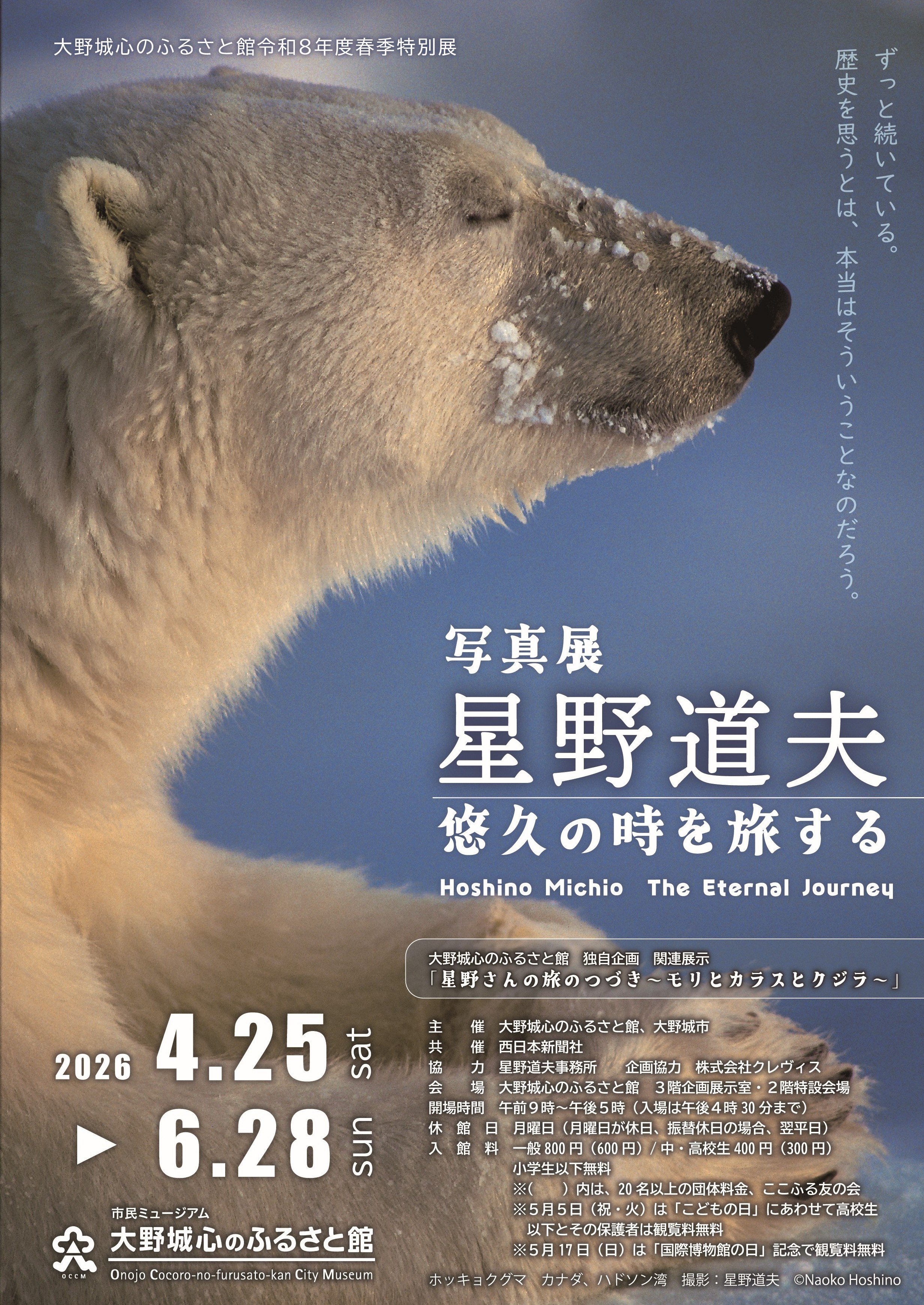 星野道夫　シロクマ親子ポスター 星野道夫の旅 | ブルームーンデザイン事務所｜Blue moon design office