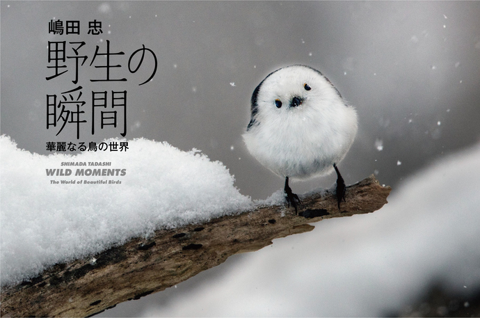 新品 25ss SHINYAKOZUKA Picturesque Birds PICTURESQUE BIRDS – SHINYAKOZUKA