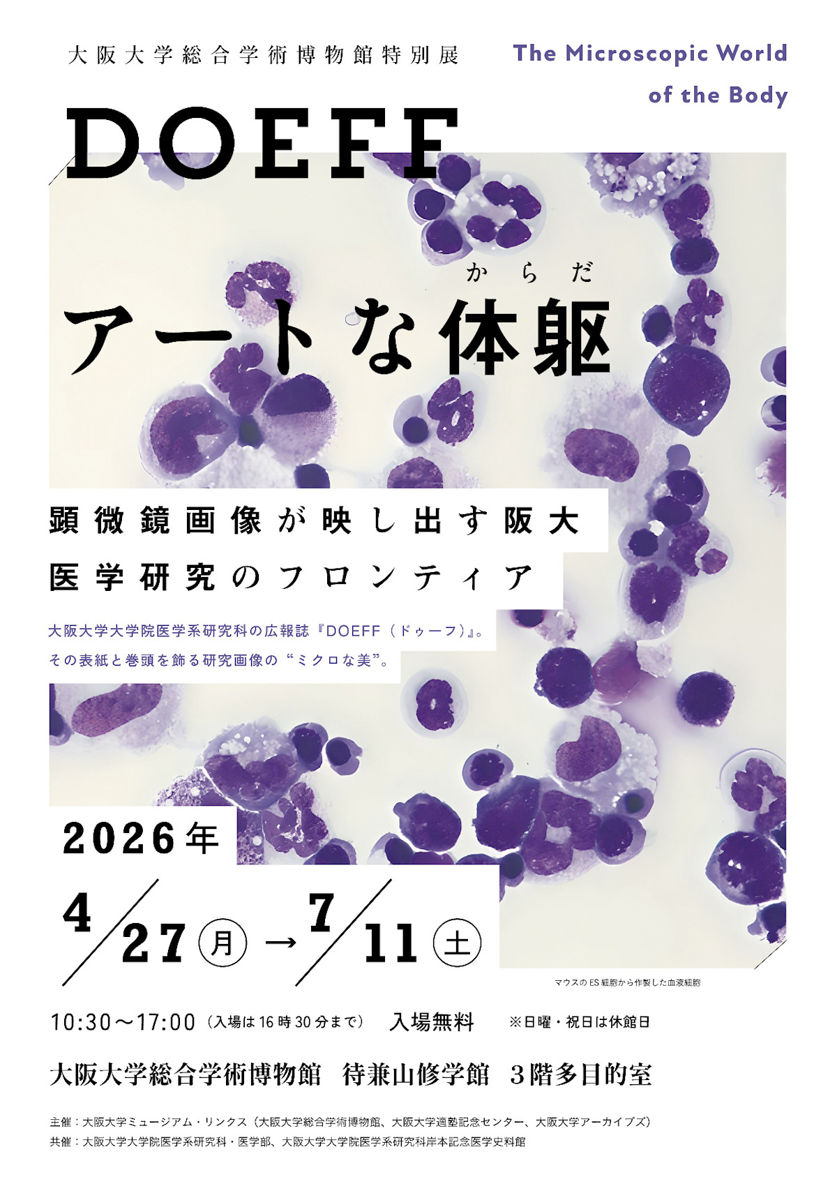 DOEFF アートな体躯 顕微鏡画像が映し出す阪大医学研究のフロンティア