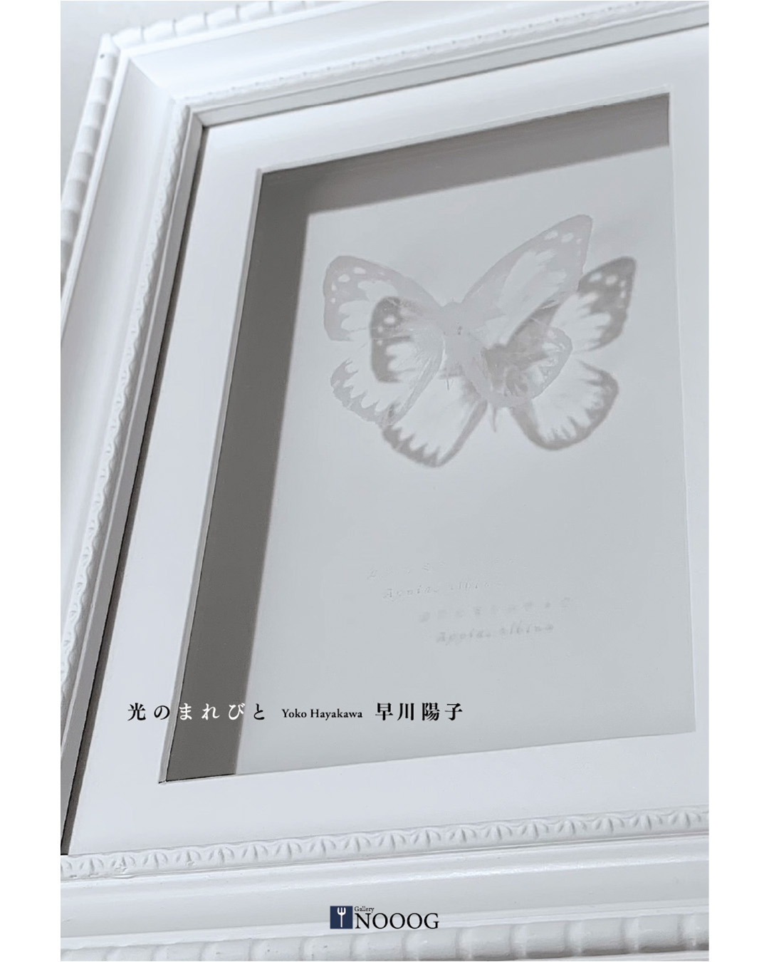 YUUK + 蓮井元彦　ヴィジュアルブック 10 FACES 蓮井元彦 「650」 （229 GALLERY） ｜Tokyo Art Beat