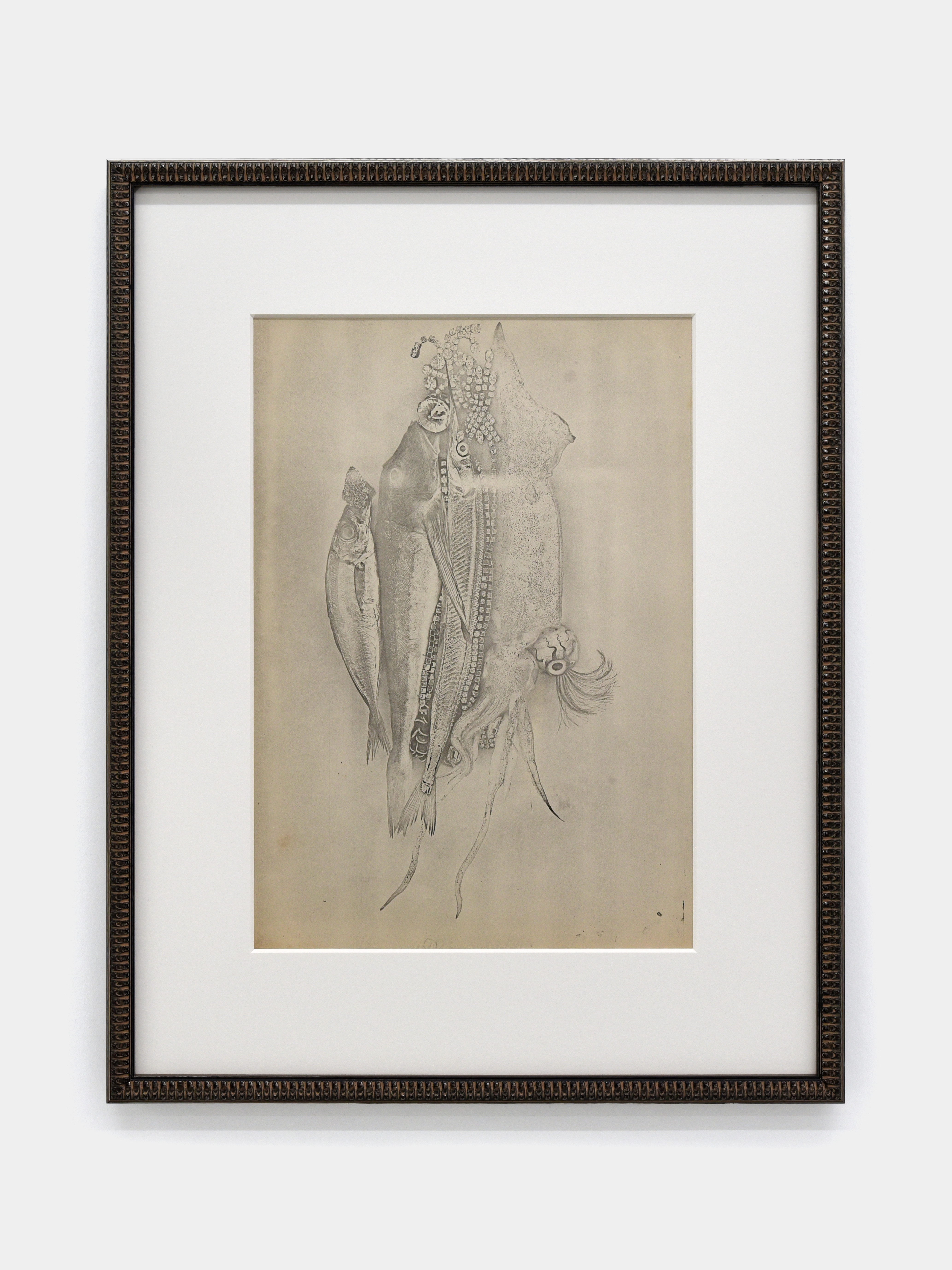 合田佐和子と川端健太郎二人展「Chimeras」（Nonaka-Hill Kyoto
