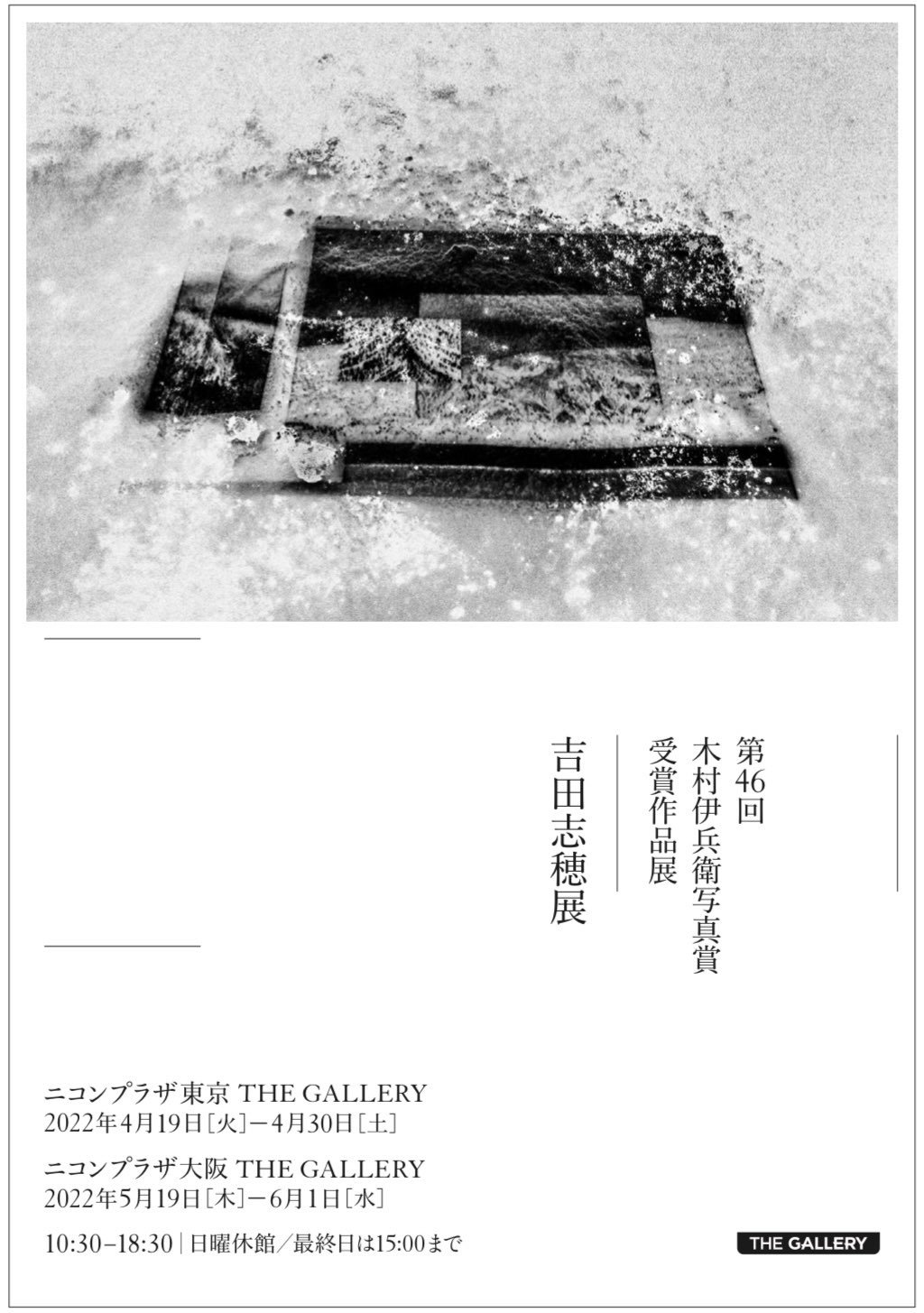 吉田志穂 展 （ニコンプラザ東京） ｜Tokyo Art Beat