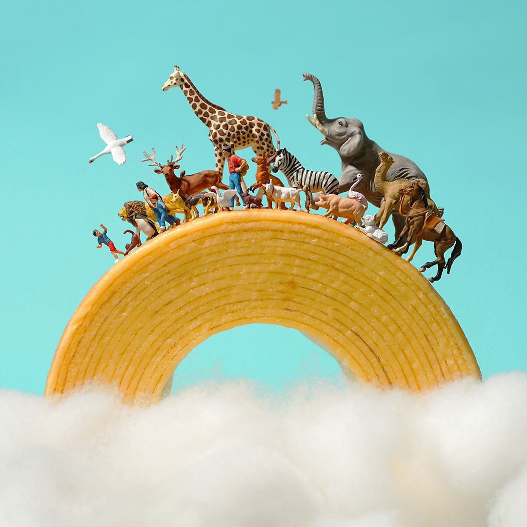 N-1-sub-web.jpeg?w=1200