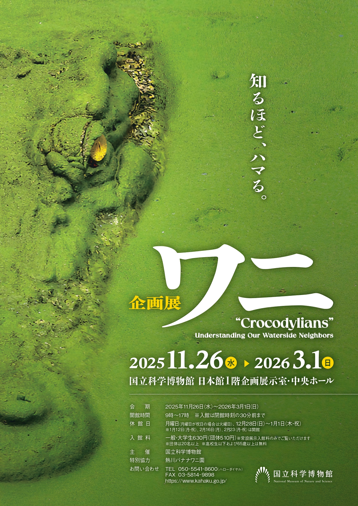 第38回 日本の自然を描く展」 （上野の森美術館） ｜Tokyo Art Beat