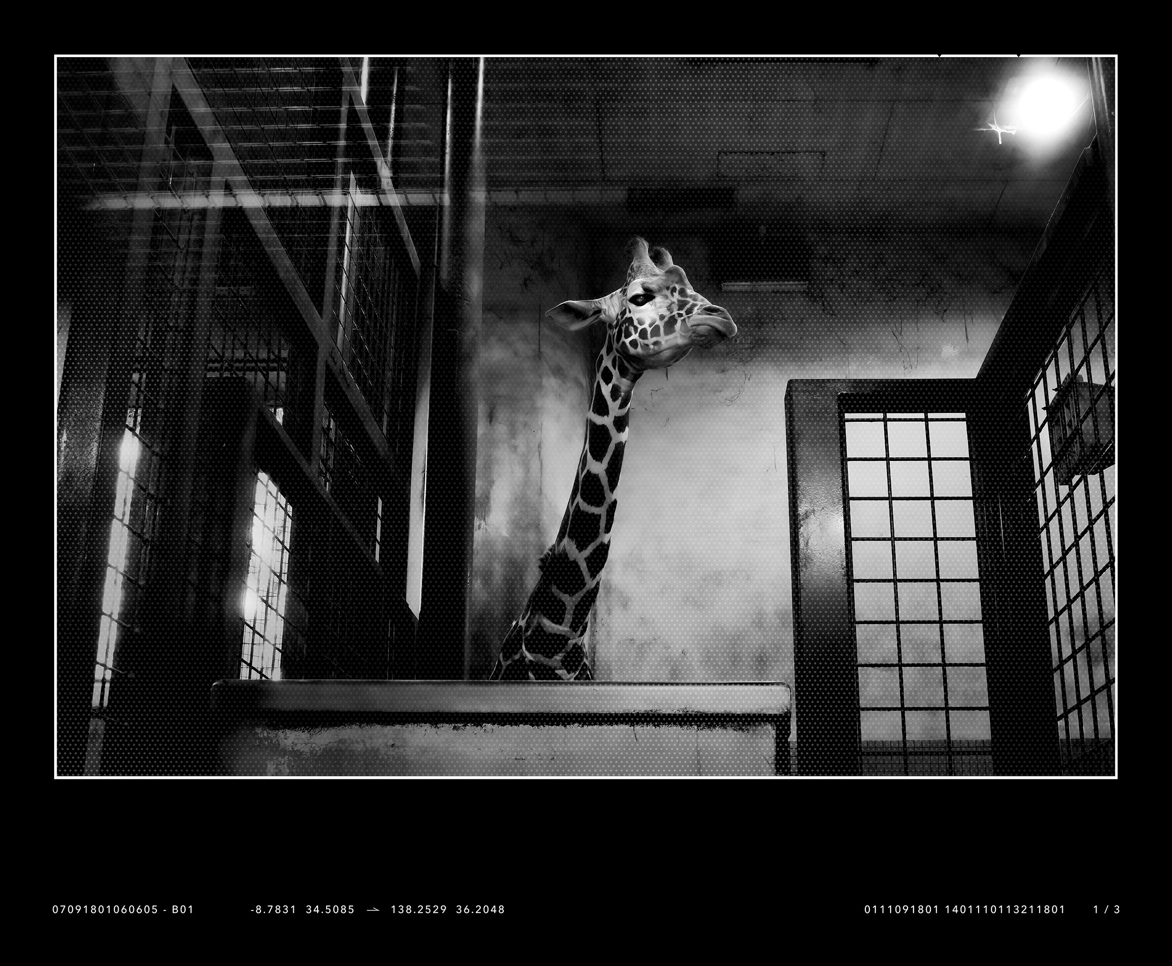 水彩　内田晃　「パリーの街角」 nakamura.jpg