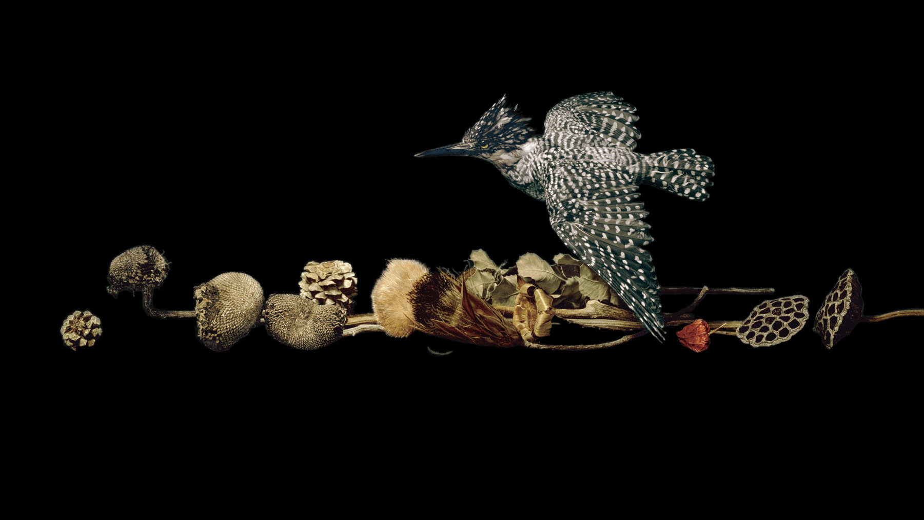 Noda Hiroshi: Absolute Realism （Yamaguchi Prefectural Art