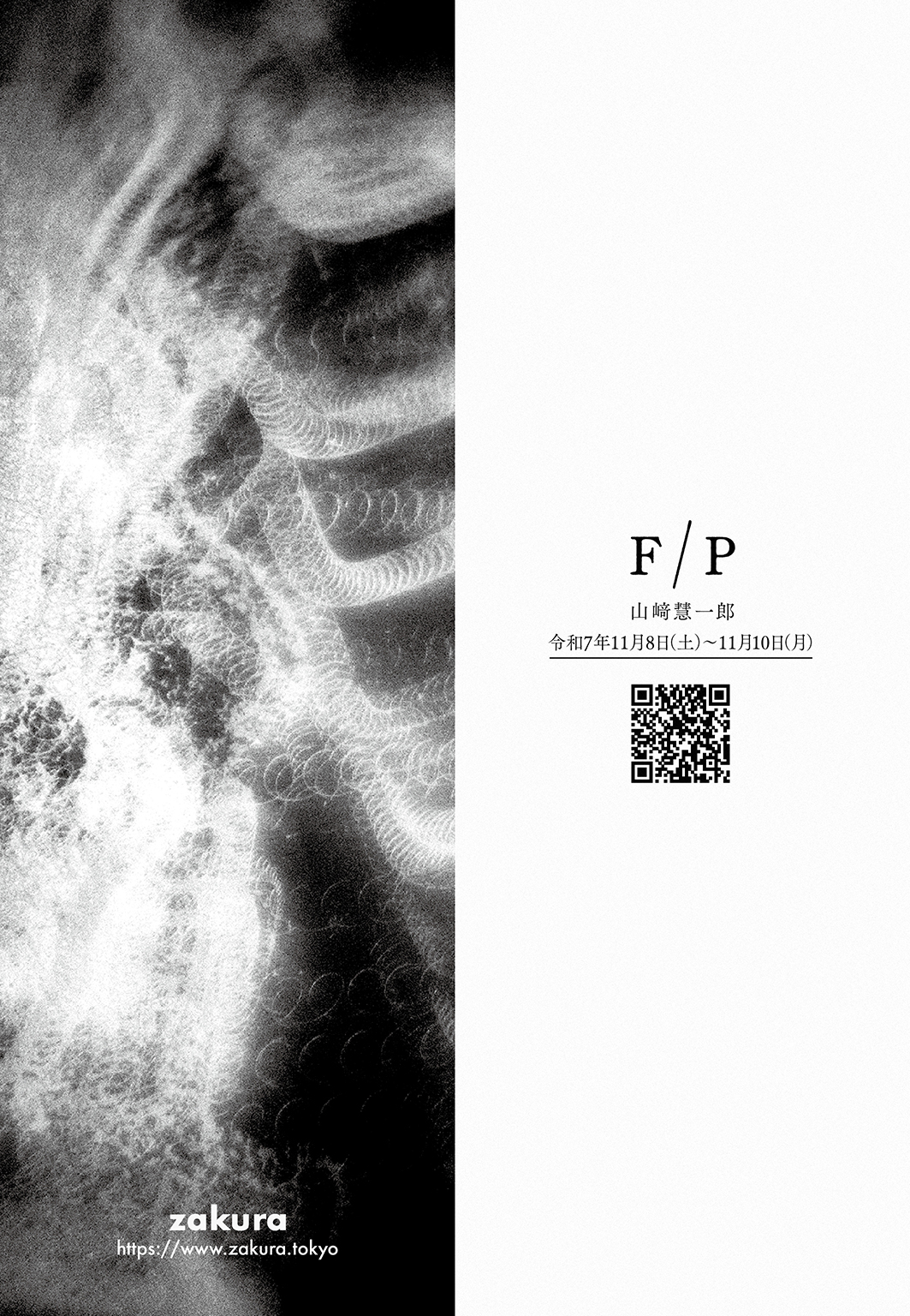 山﨑慧一郎 「F/P」 （zakura（ザクラ）） ｜Tokyo Art Beat