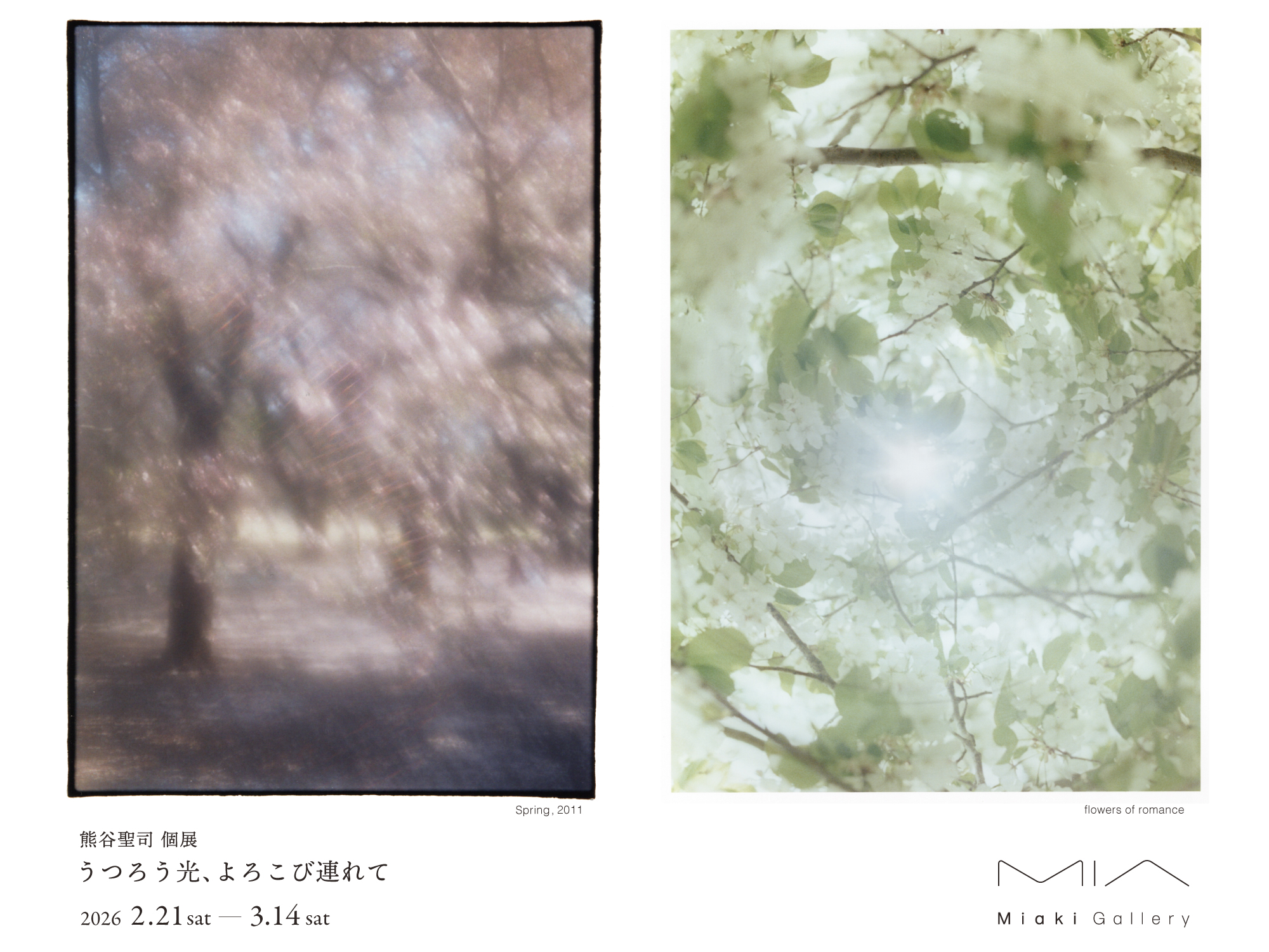 熊谷聖司　写真家　ポスター　菊全判 熊谷聖司 「うつろう光、よろこび連れて」 （Miaki Gallery） ｜Tokyo