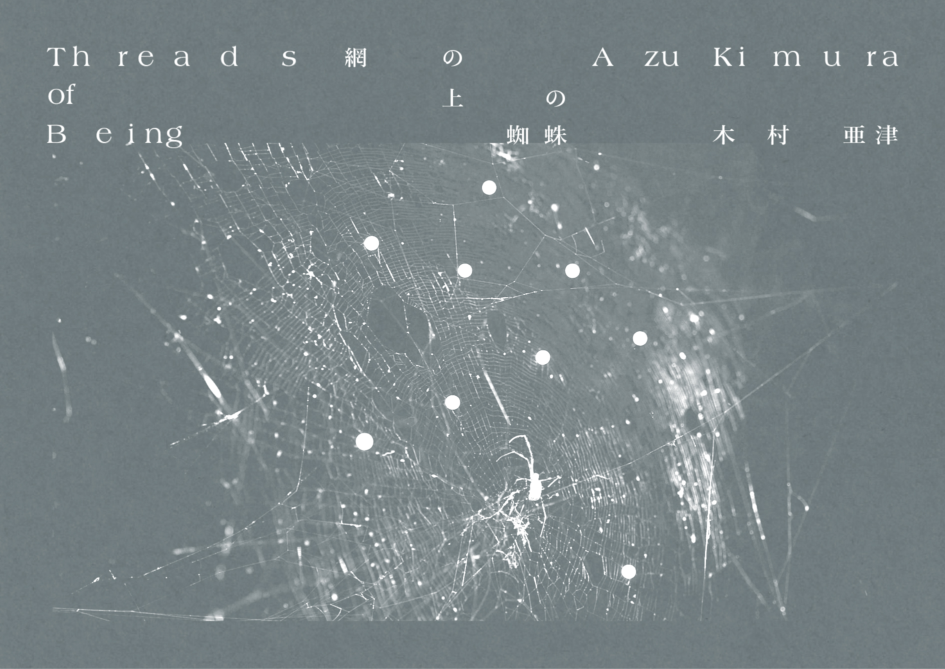 木村亜津 「網の上の蜘蛛」 （府中市美術館） ｜Tokyo Art Beat