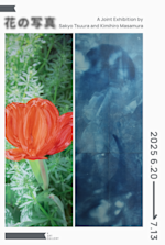 K.HAYAKAWA 【カラーの花】 250528_1_kag_DM_hananoshasin_o