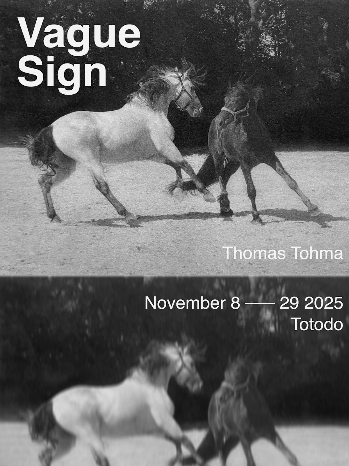 Thomas Tohma 「Vague Sign」 （東塔堂） ｜Tokyo Art Beat