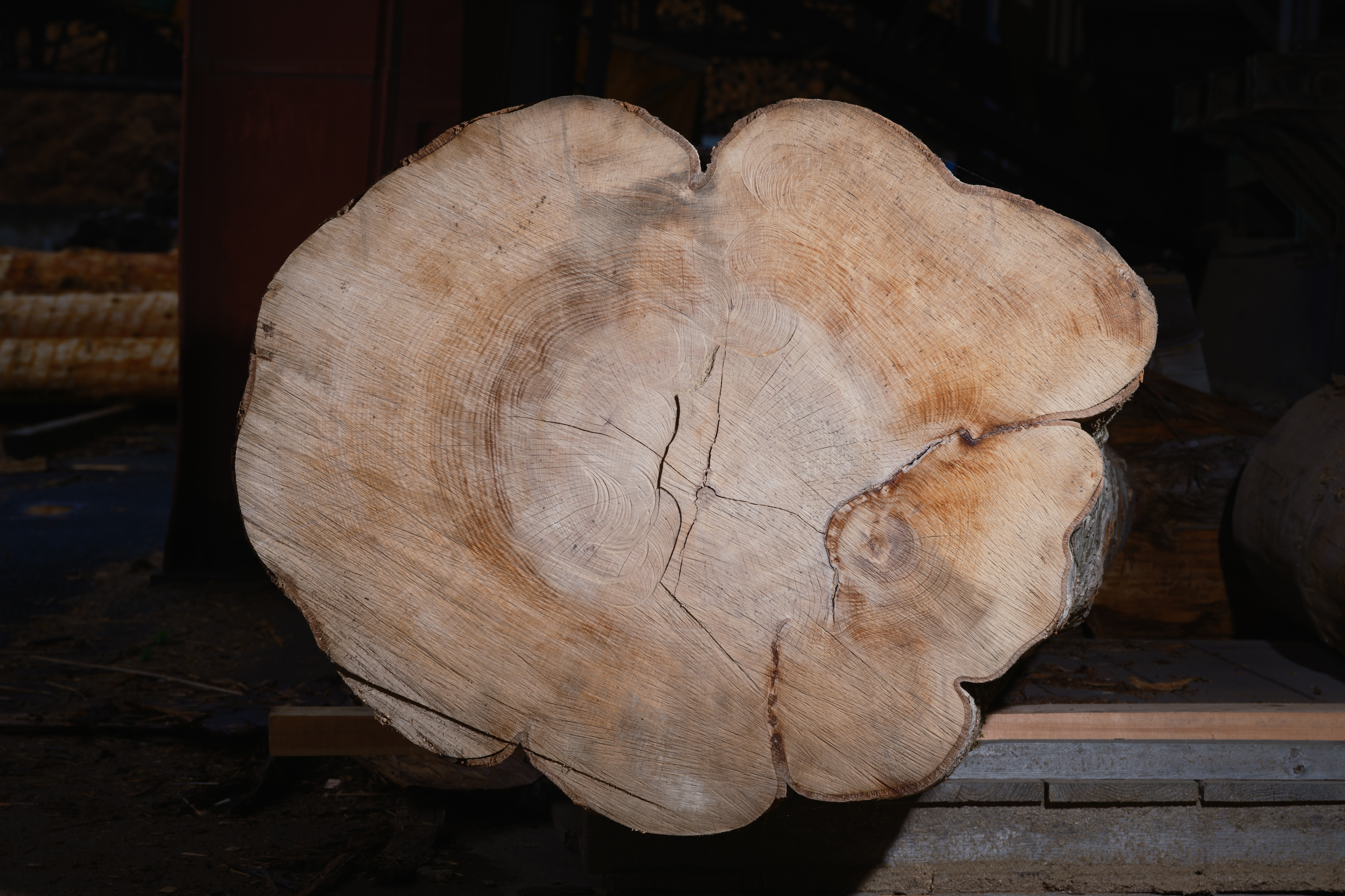 国松希根太 連鎖する息吹」 （十和田市現代美術館） ｜Tokyo Art Beat