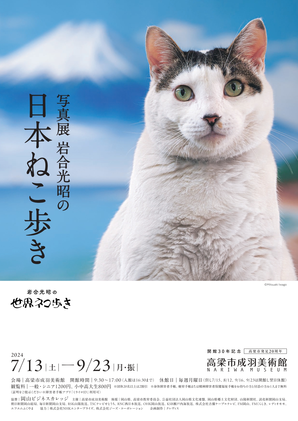 写真展 岩合光昭の日本ねこ歩き」 （高梁市成羽美術館） ｜Tokyo Art Beat