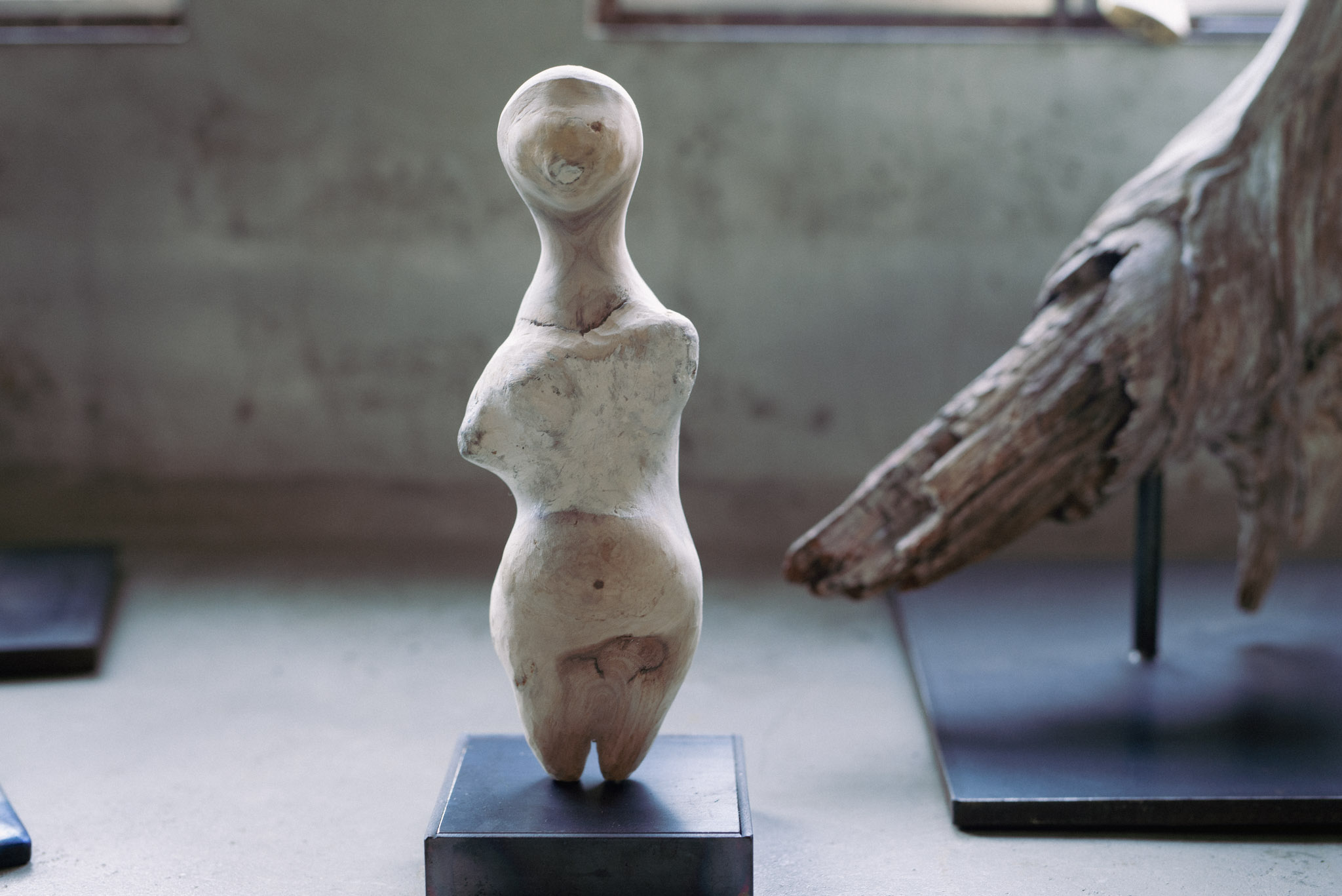 モリソン小林 + 中村大介 「silently - 金属植物と山びこ - 」 （and