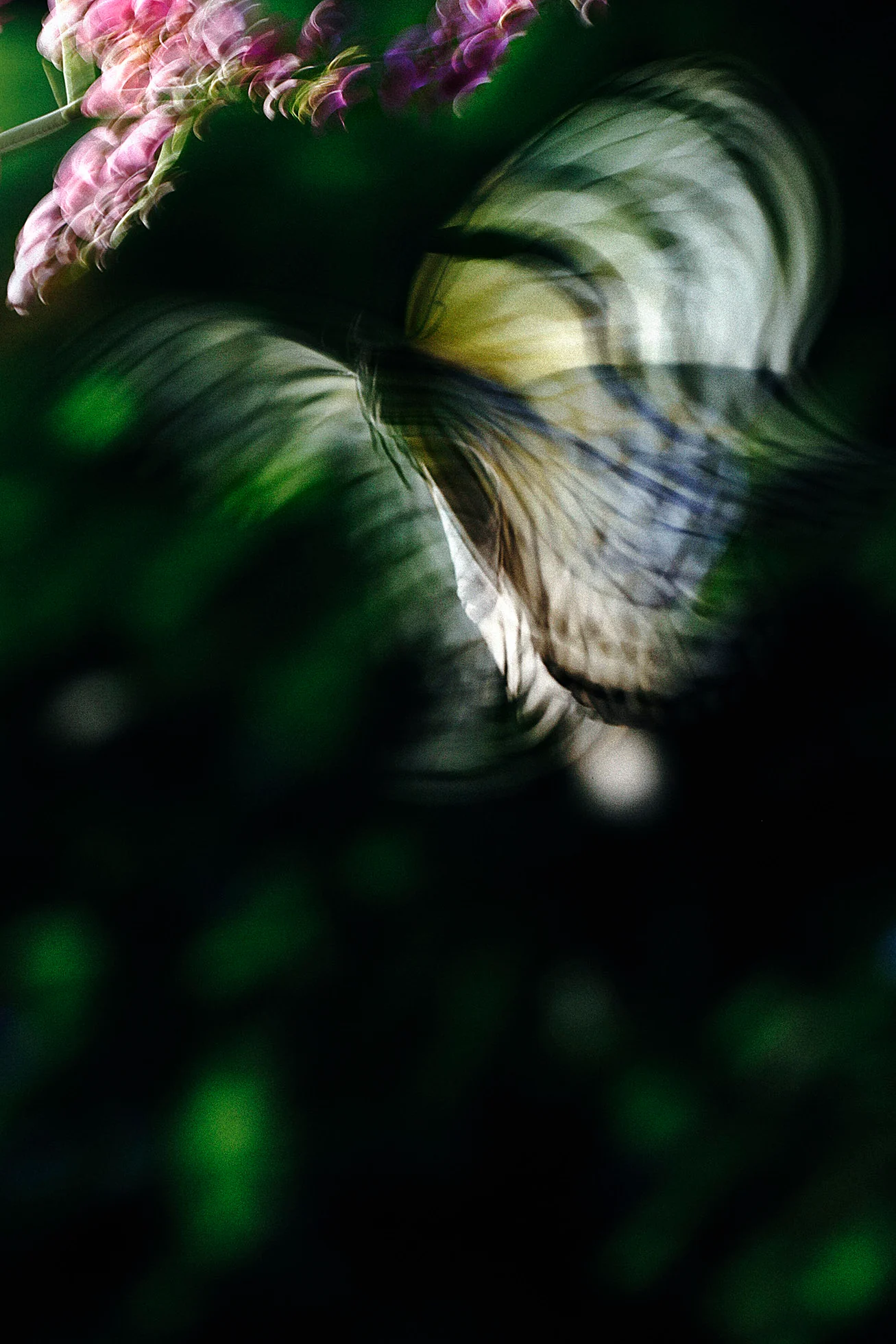 山上新平 「KANON」 （本屋青旗） ｜Tokyo Art Beat