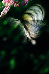 山上新平 「KANON」 （本屋青旗） ｜Tokyo Art Beat