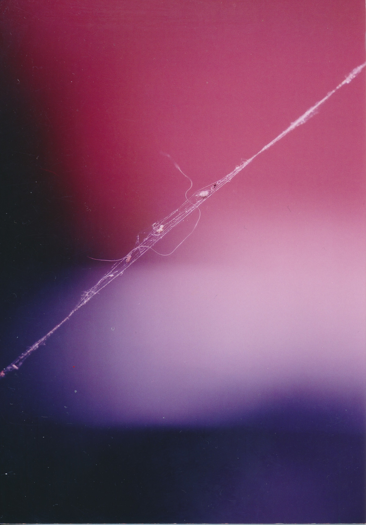 鈴木親 「体(たい)と用(ゆう)」 （flotsam books（フロットサムブックス）） ｜Tokyo Art Beat