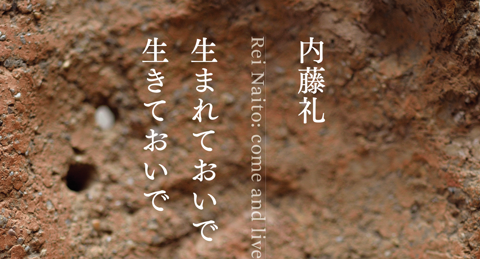 内藤礼の展覧会が東京国立博物館で開催。「内藤礼 生まれて