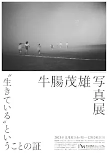 IM_gocho_B2_web.jpeg?w=244&h= IM_gocho_B2_web.jpeg?w=244&h=