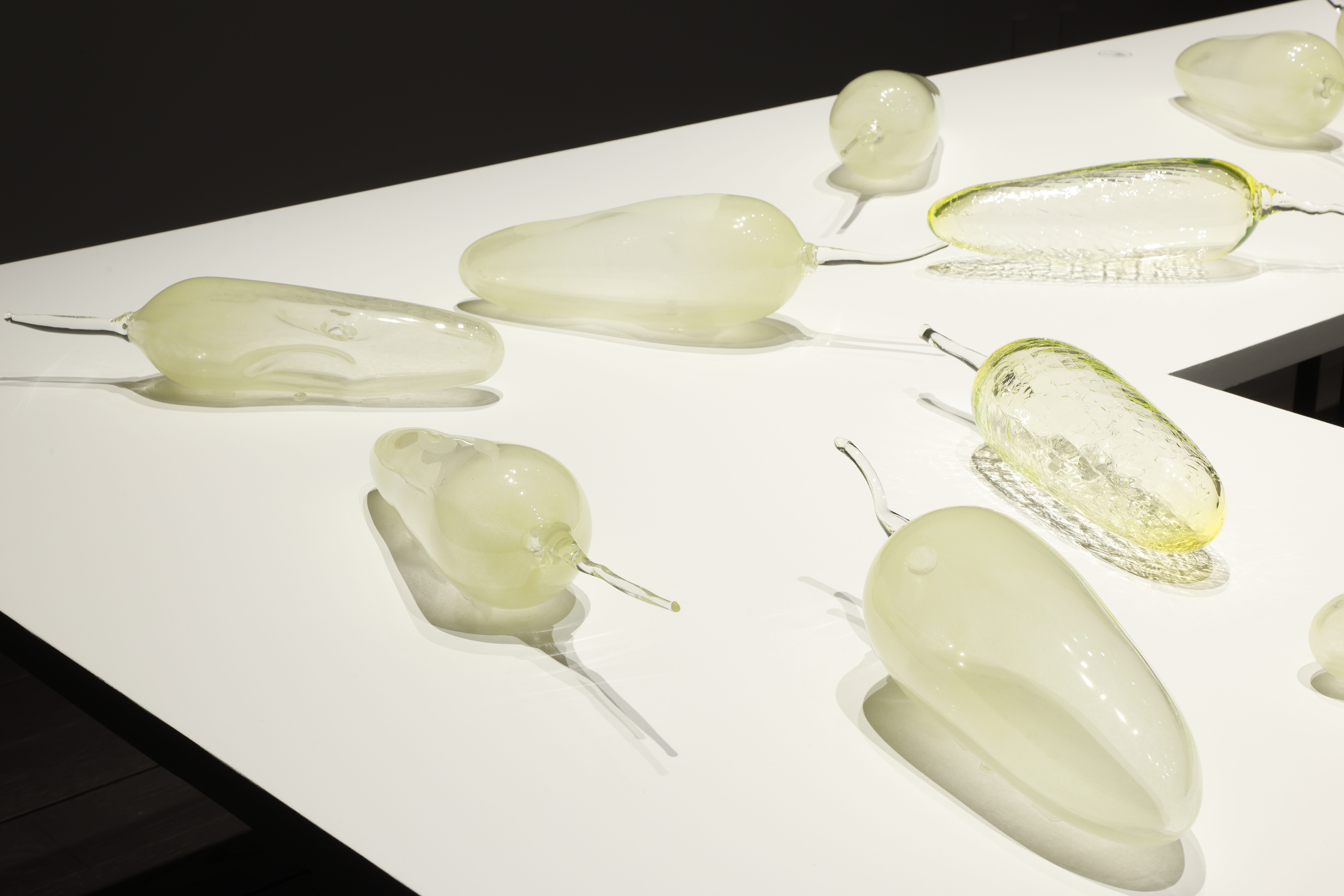 レビュー】「オーストラリア現代美術 彼女たちのアボリジナル・アート