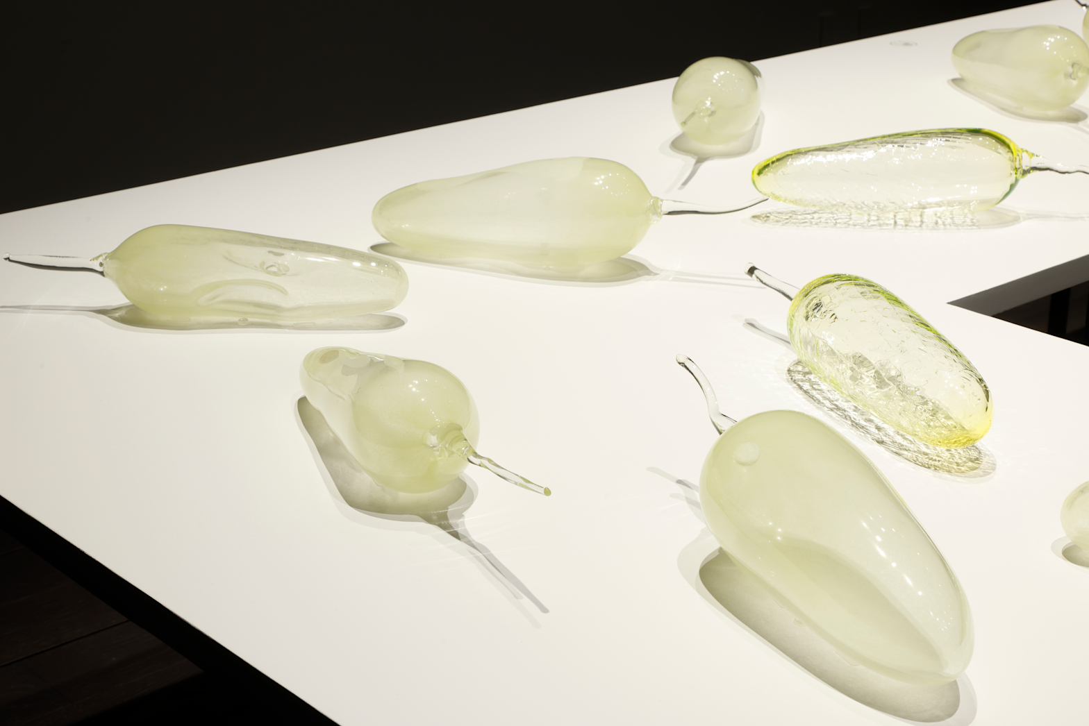 レビュー】「オーストラリア現代美術 彼女たちのアボリジナル・アート