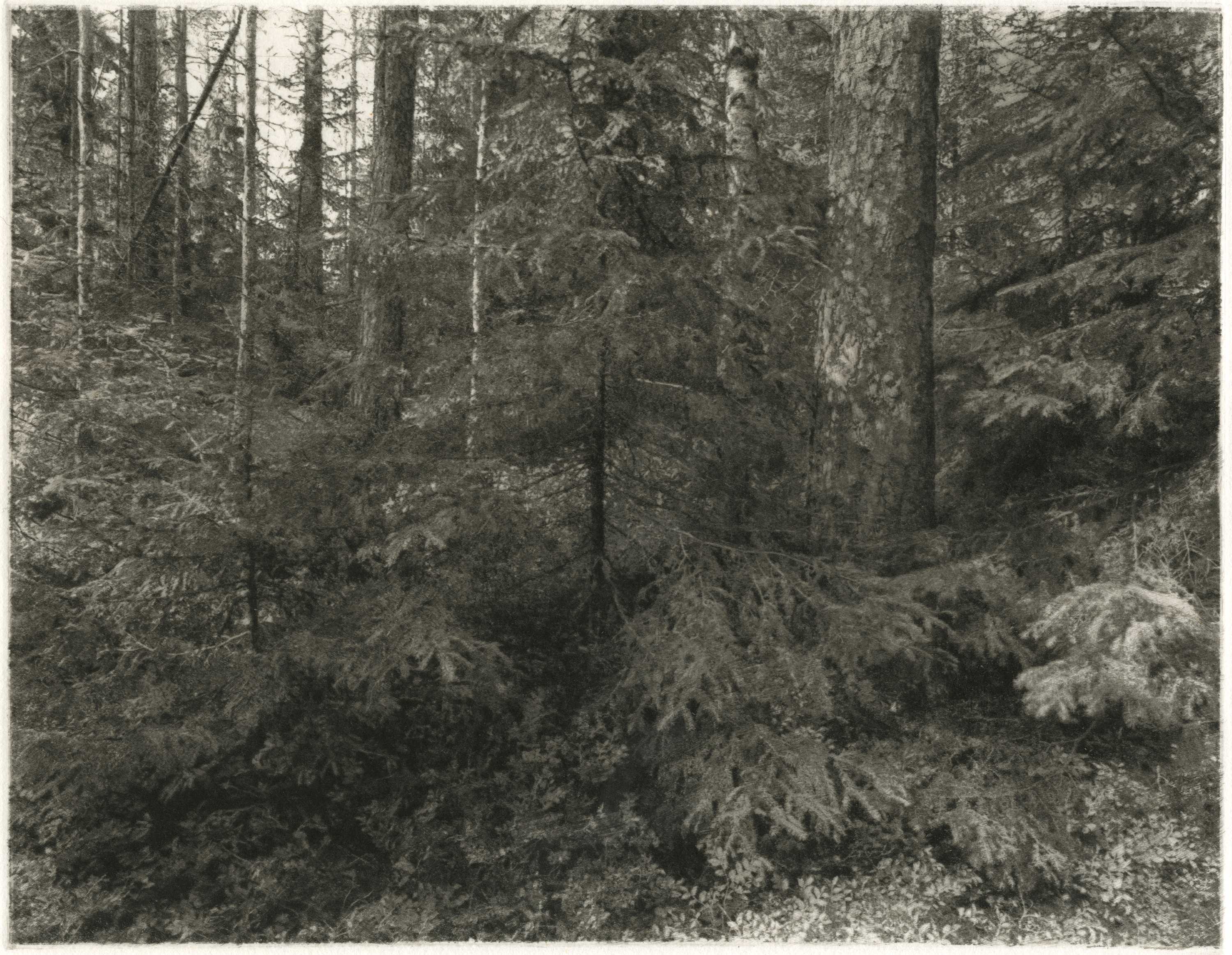 山田純嗣 「Touch of Silence」 （日本橋髙島屋 6F / 美術画廊