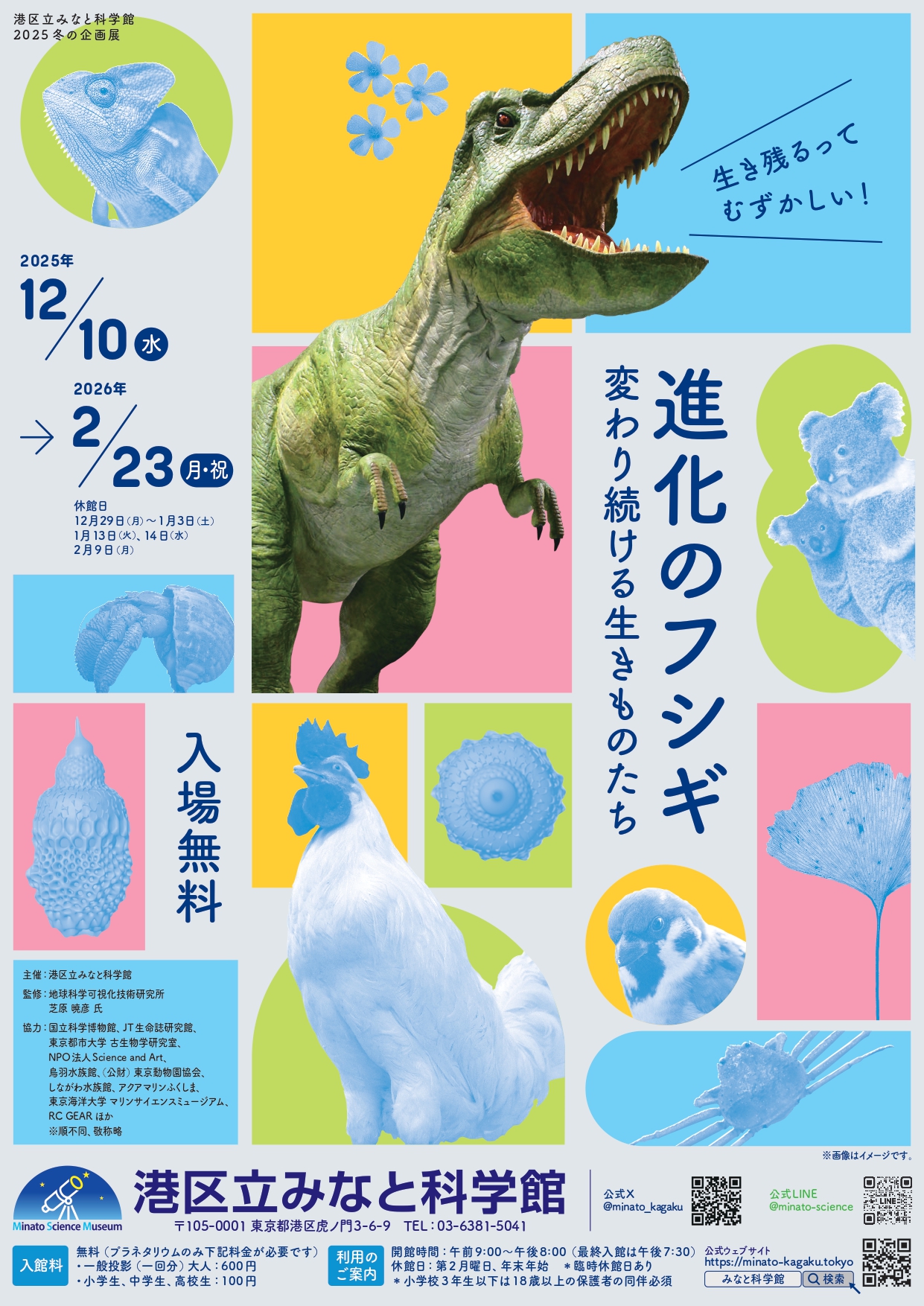 進化のフシギ ～変わり続ける生きものたち～」 （港区立みなと科学館