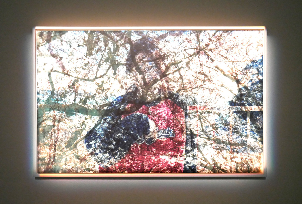 「AOMORI GOKAN アートフェス 2024 つらなりのはらっぱ」開幕レポート！個性豊かな青森の5つの現代美術館に出会いなおす旅へ