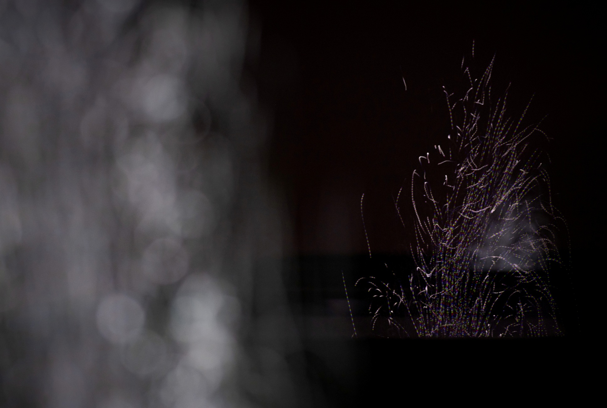 Quantum Field: Field, Superposition, Observation