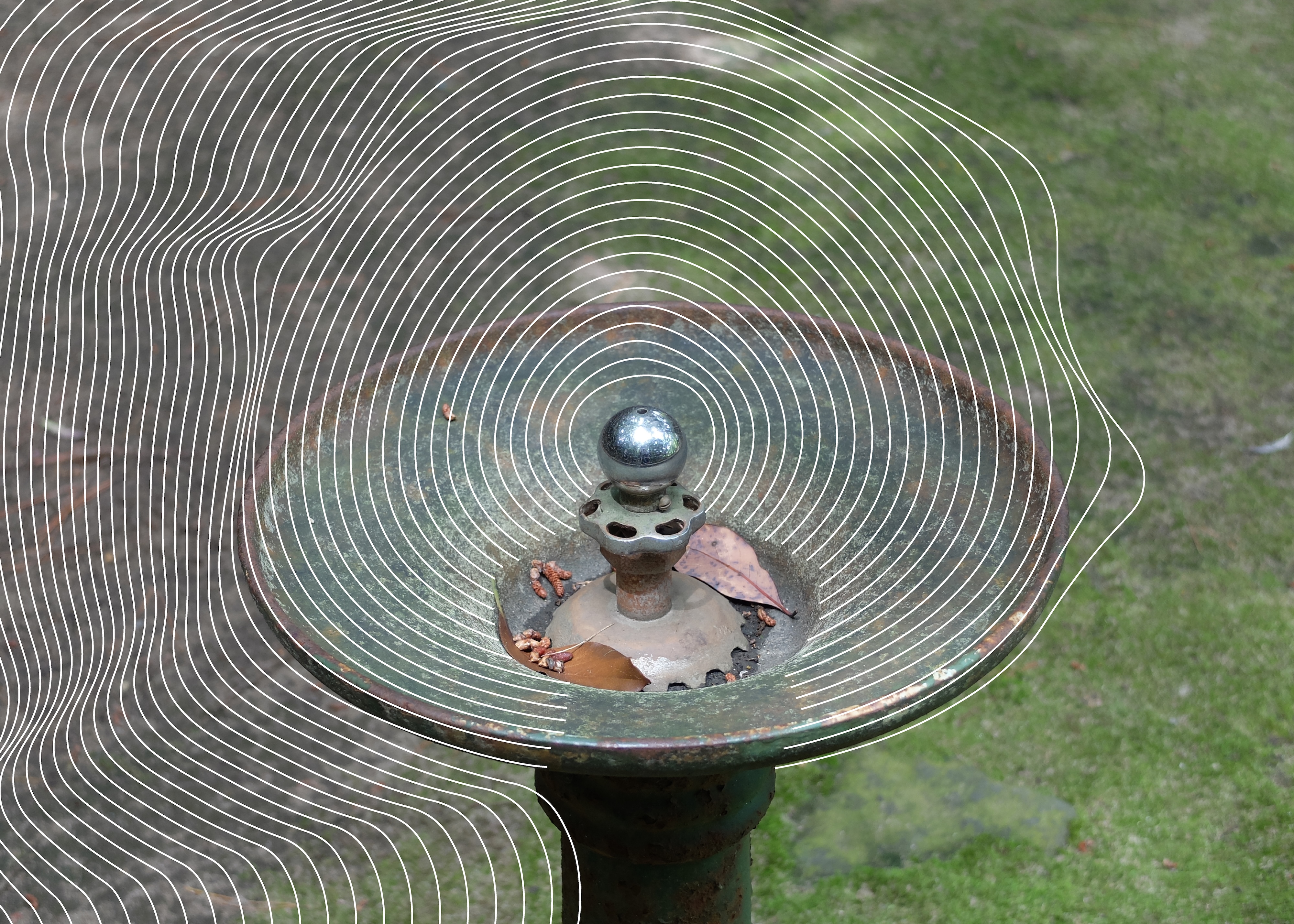 堀内規次パステル画」 （本間美術館） ｜Tokyo Art Beat