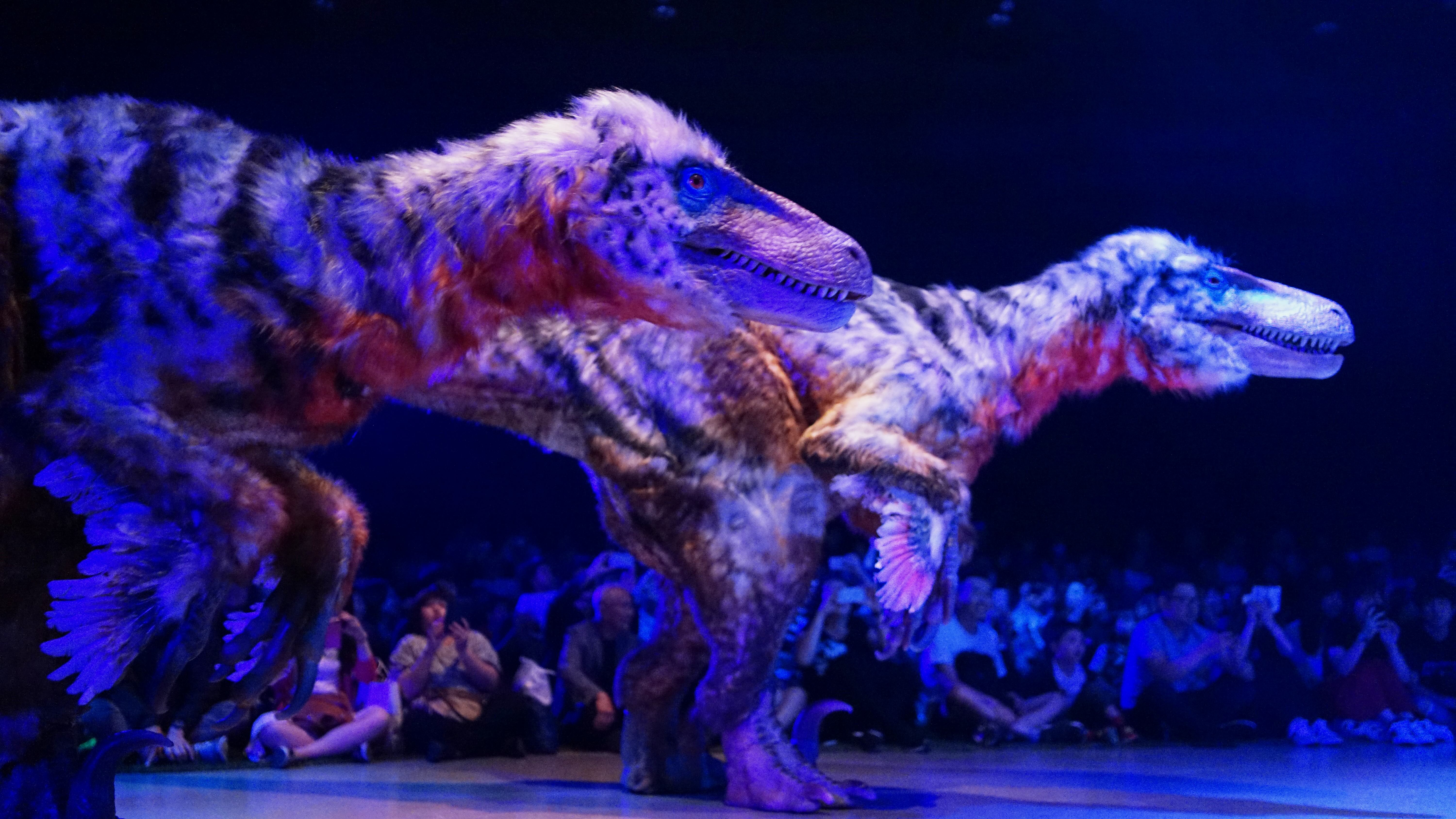 大人の恐竜ファン必見！】 18歳以上限定の新たな恐竜ライブ「DINOSAUR