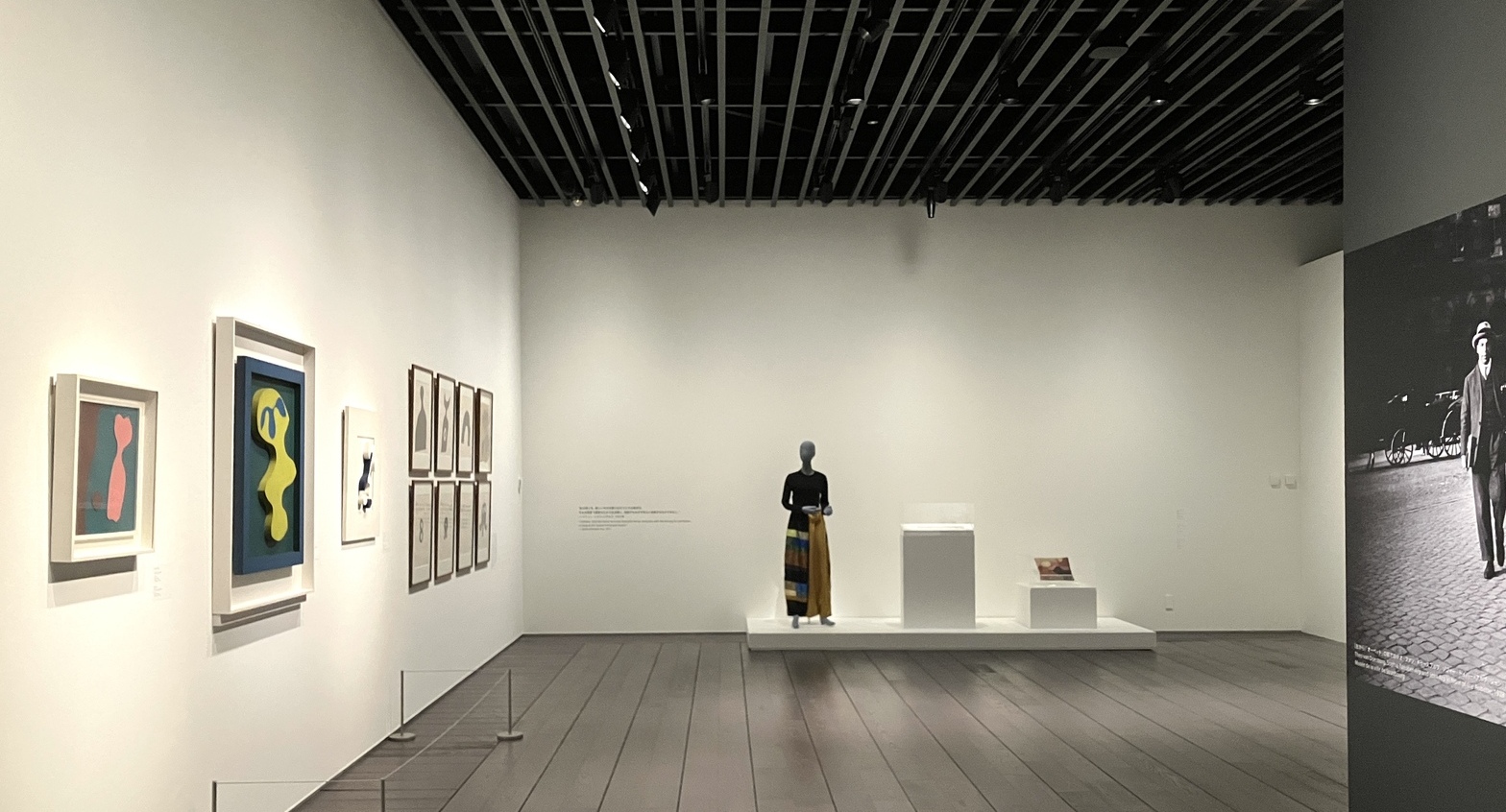 ゾフィー・トイバー=アルプとジャン・アルプ」 （アーティゾン美術館