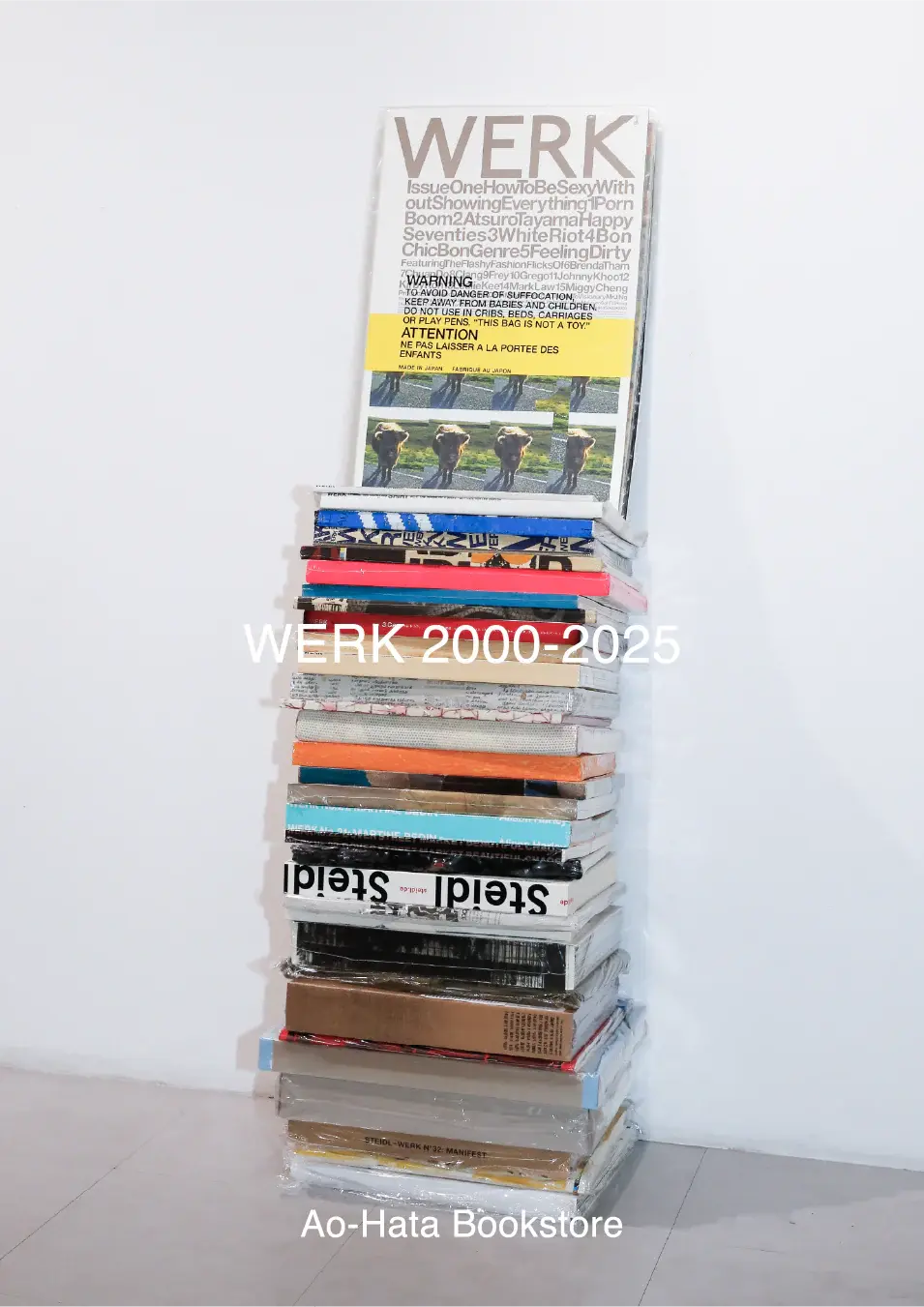 WERK 2000-2025」 （本屋青旗） ｜Tokyo Art Beat