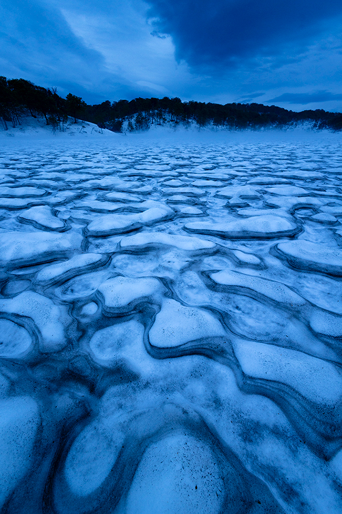 石田道行 「Forest」 （京都写真美術館 ギャラリー・ジャパネスク