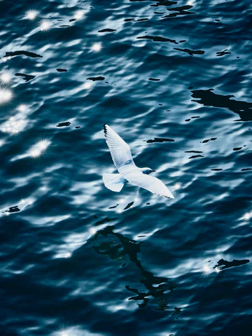 竹之内祐幸 「Warp and Woof」 （UTRECHT / NOW IDeA） ｜Tokyo Art Beat