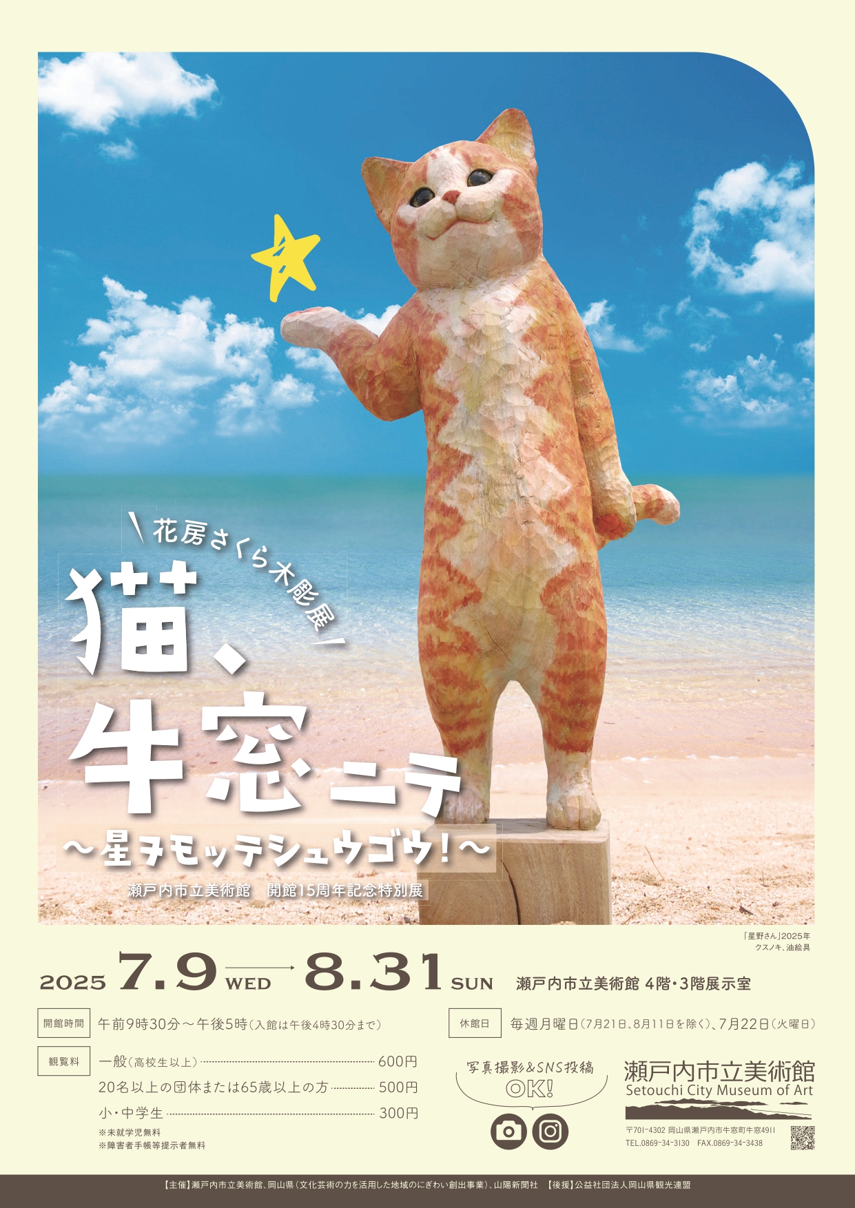 桜の花と子猫 花房さくらのねこ包み クロ《ドリームカプセル限定》【セット割