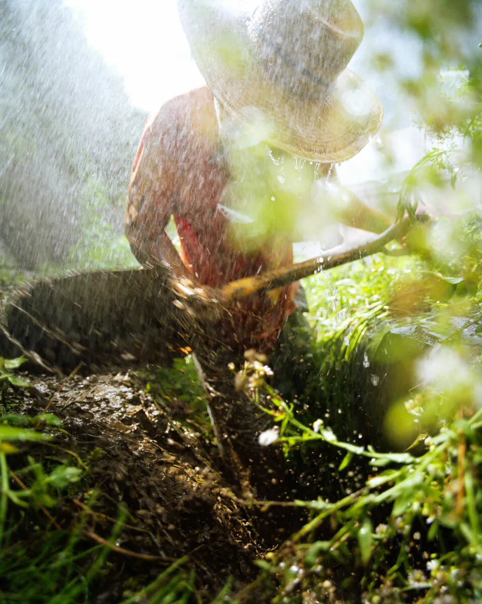 Atsushi Fukushima "Under the Burning Sun"